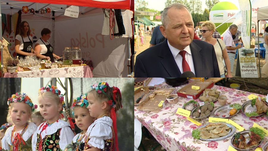 Szukam Dziewczyny Lisewo