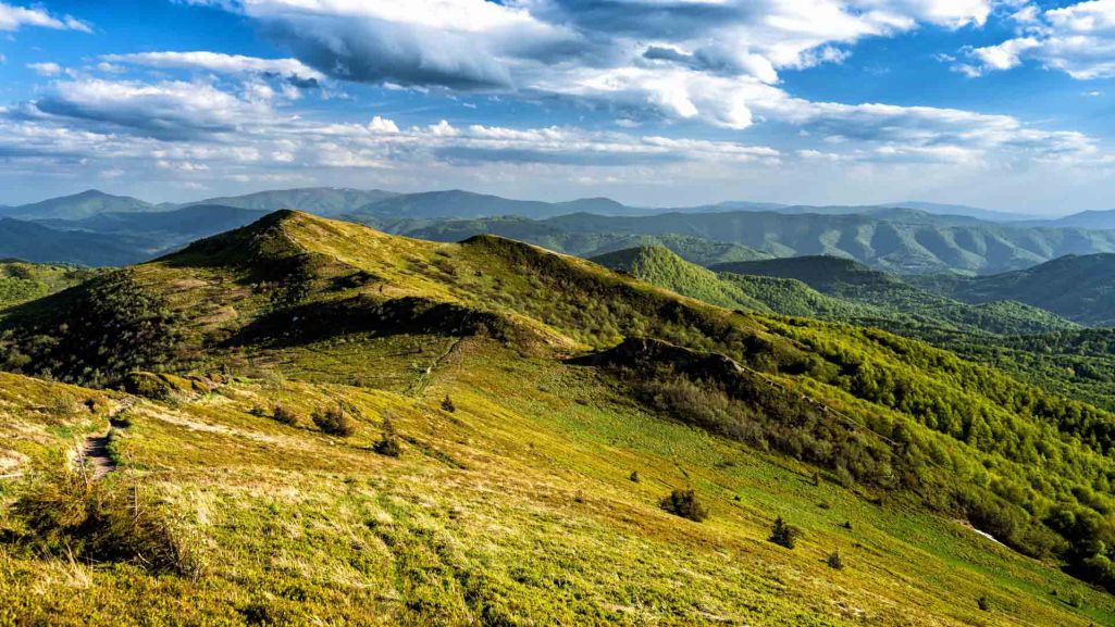 Tarnica jest najwyższym szczytem Bieszczad, a w jej okolicach znajdziemy wiele miejsc do biwakowania. Fot. Wildlife/ Shutterstock