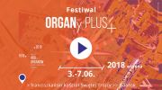 festiwal-organy-plus
