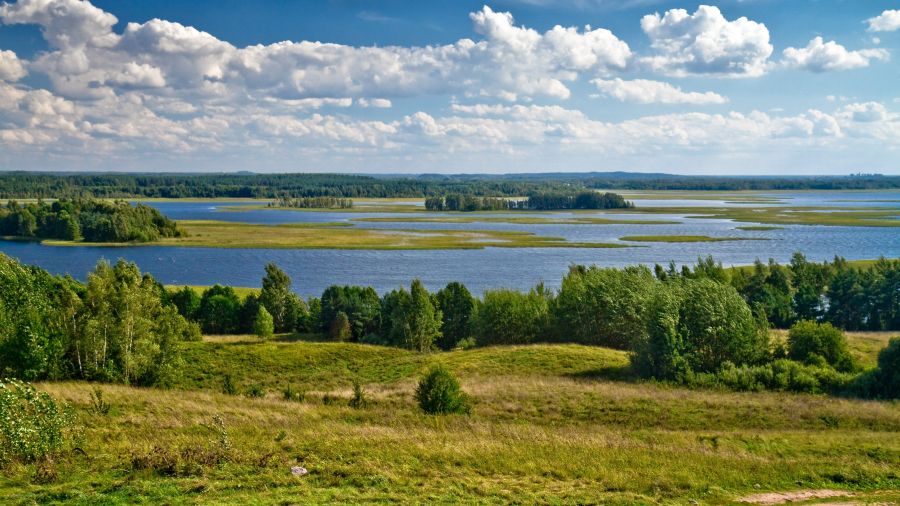 Jezioro Strusta. Widok ze wzgórza Majak. Obwód witebski, Białoruś 2010. Fot. Wikimedia/zedlik
