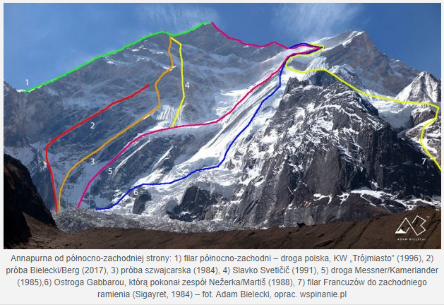 (fot. Adam Bielecki) (fot. Adam Bielecki)