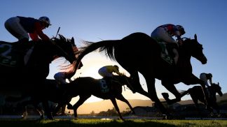 Wyścig konne