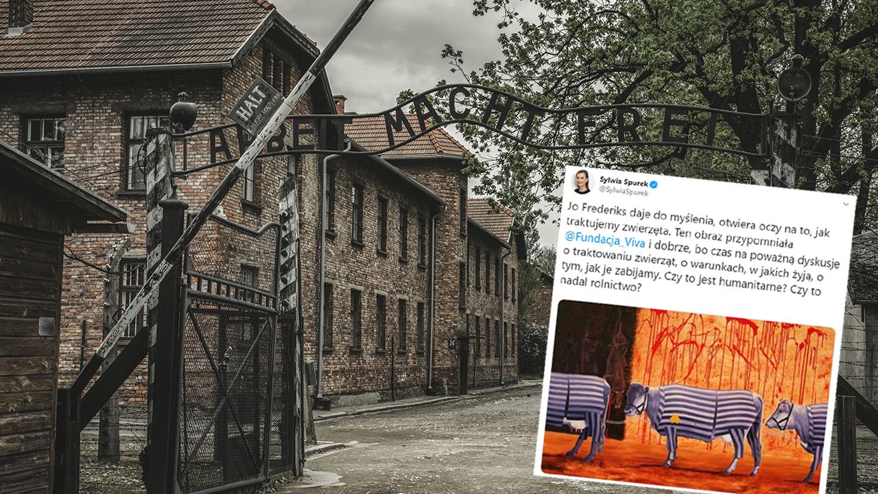 Czas na poważną dyskusję o traktowaniu zwierząt – apeluje Sylwia Spurek na Twitterze (fot. Shutterstock/Jaroslav Moravcik) Czas na poważną dyskusję o traktowaniu zwierząt – apeluje Sylwia Spurek na Twitterze (fot. Shutterstock/Jaroslav Moravcik)