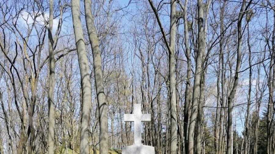 Odnowiono nagrobki powstańców wielkopolskich na poznańskiej Cytadeli (zzmpoznan.pl)