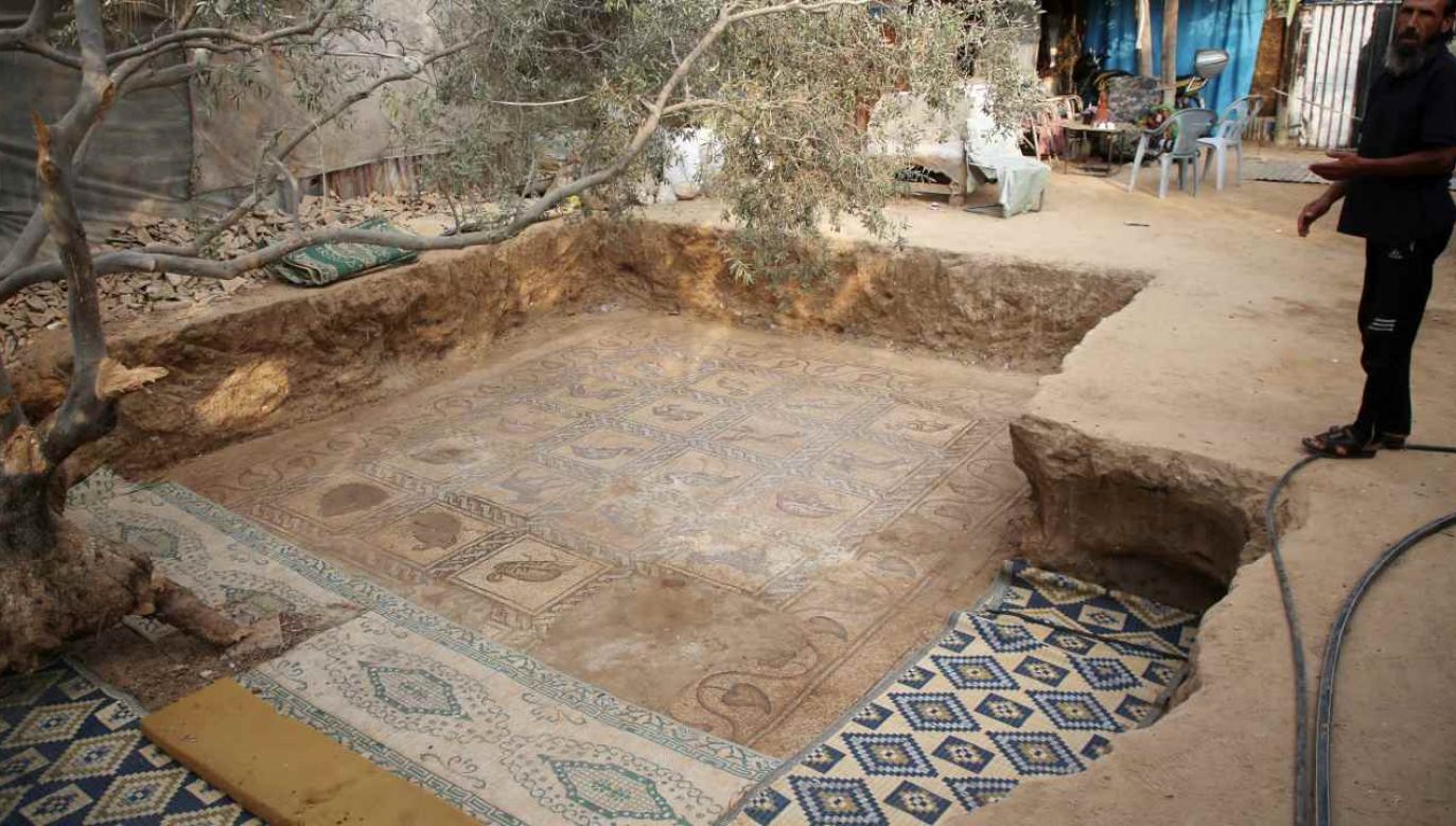 Mozaika została odkopana w gaju oliwnym w Strefie Gazy (fot. Majdi Fathi/NurPhoto via Getty Images)
