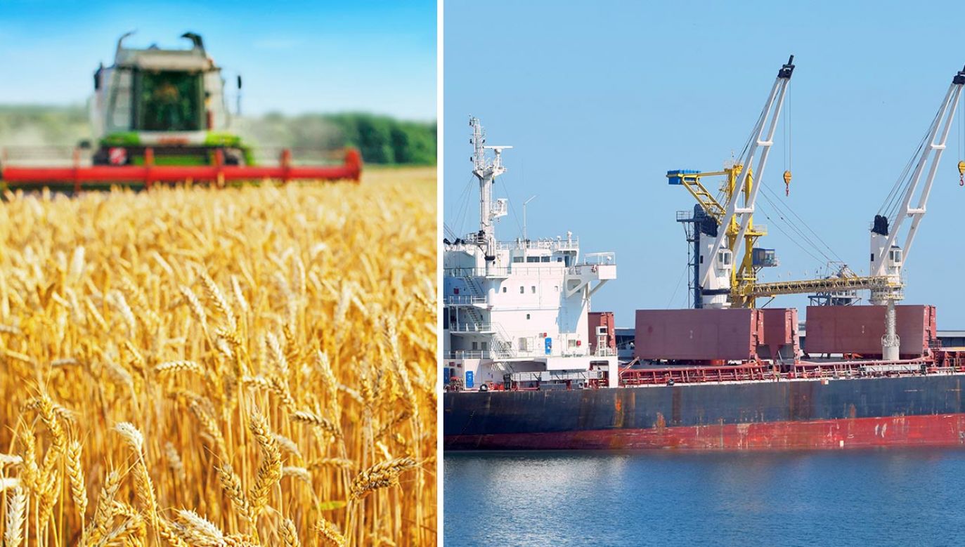 Rosjanie blokują eksport milionów ton ukraińskiego zboża (fot. Shutterstock)