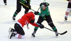 Comarch Cracovia – JKH GKS Jastrzębie (fot. PAP)