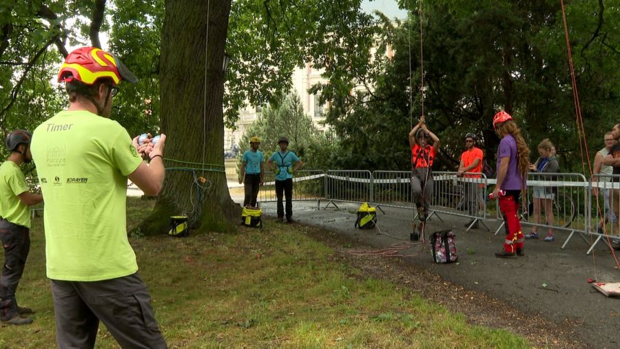 Fot. TVP3 Katowice
