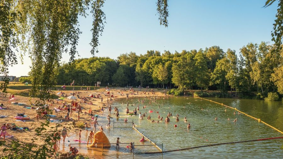 Fot. G. Ożga | UM Gliwice