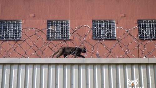 Центр изоляции правонарушителей в Минске по адресу 1-й переулок Окрестина. Фото: Белсат