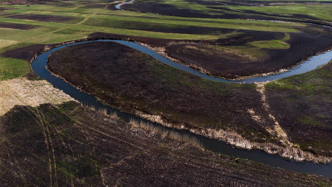 Pożar trwał od 19 do 26 kwietnia 2020 r. (fot. PAP/Artur Reszko) Pożar trwał od 19 do 26 kwietnia 2020 r. (fot. PAP/Artur Reszko)