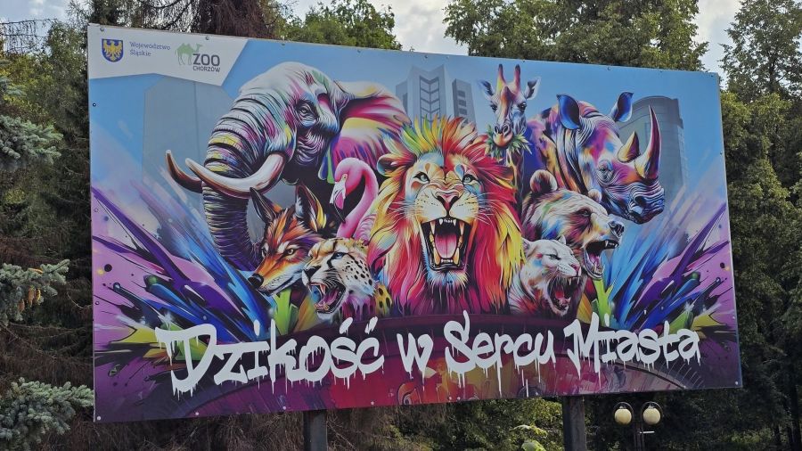 Ruszyła kampania Śląskiego Ogrodu Zoologicznego. Fot. źródło FB Śląski Ogród Zoologiczny