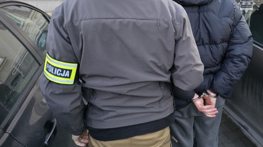 43 kilogramy pseudoefedryny przejęte. Fot. Policja Śląska 
