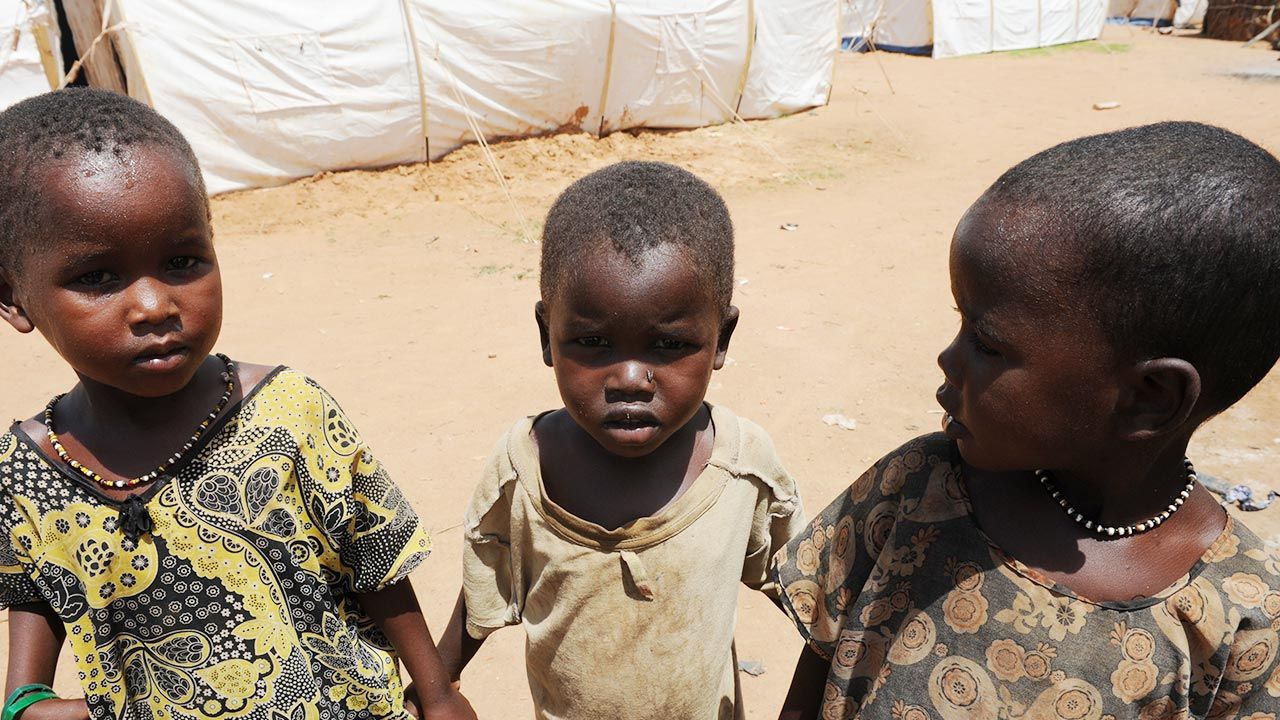 Wojna na Ukrainie wywarła wielki wpływ na głód w Afryce (fot. Shutterstock)