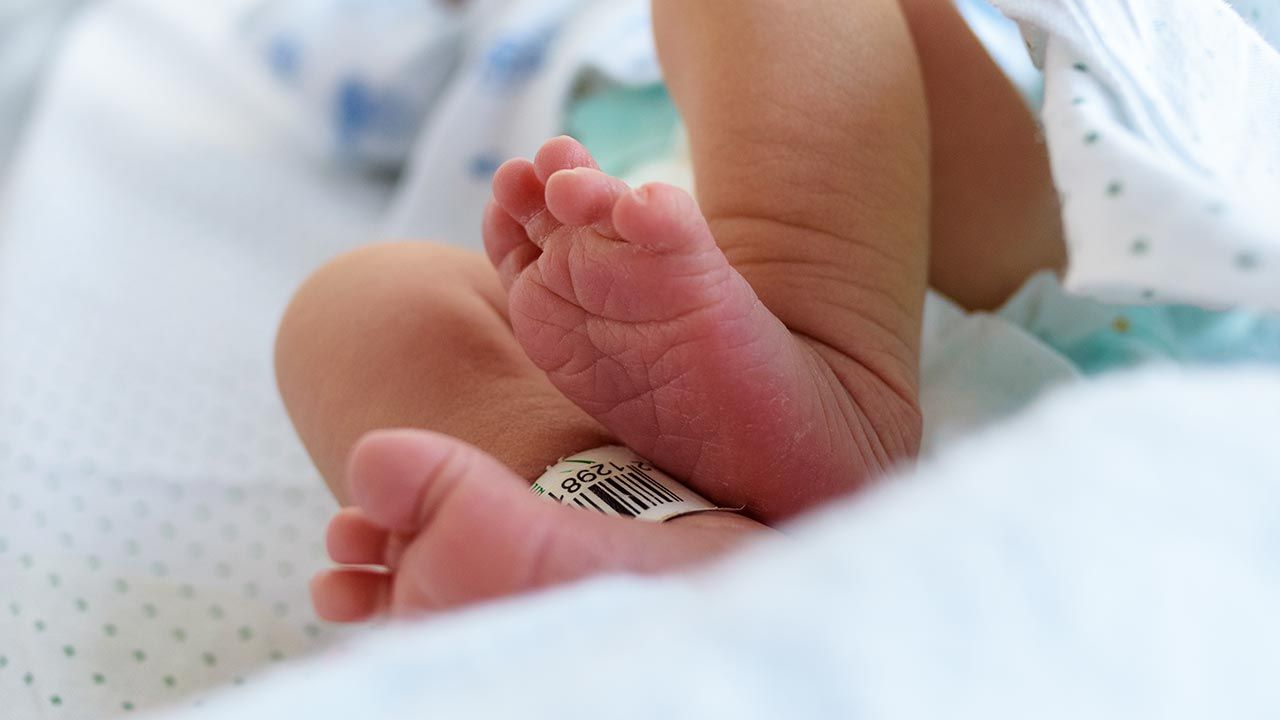 Narodziny gigantycznego noworodka (fot. Shutterstock/Jonas Torres)