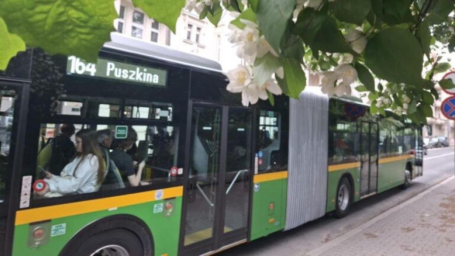 Poznań. Duże zmiany w weekend w rozkładzie jazdy. Lepiej to wiedzieć (fot. ZTM)