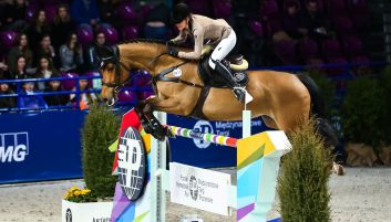 Jeździectwo, Cavaliada Warszawa Jeździectwo, Cavaliada Warszawa