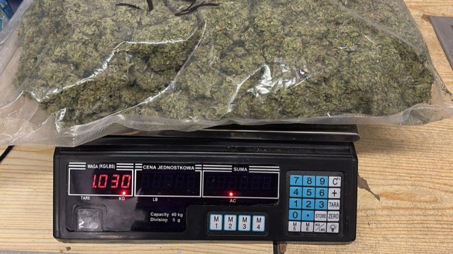 W mieszkaniu mężczyzny policjanci znaleźli ponad 1,5 kg marihuany i ponad 100 tysięcy zł. Fot. Śląska Policja | slaska.policja.gov.pl