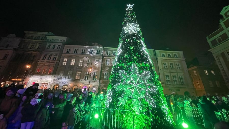 Poznań. Choinka na Starym Rynku. Rozświetlenie choinki (fot. Zuzanna Matuszczak)