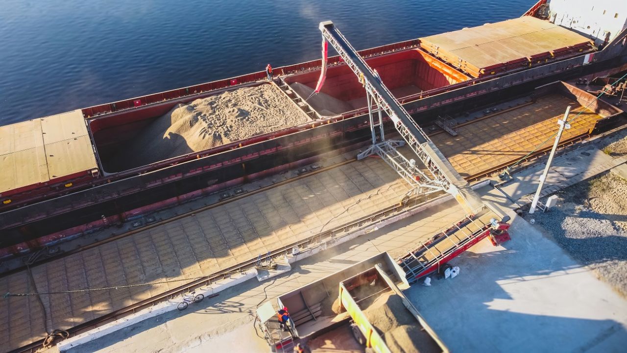 Według ukraińskich mediów po Morzu Czarnym pływa osiem statków, które dostarczają do Turcji skradzione zboże (fot. Shutterstock)