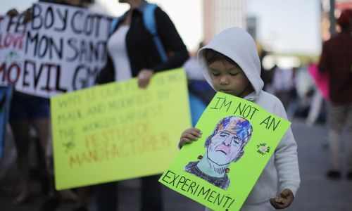 Los Angeles, Kalifornia 12 października 2013 r. Trzyletni Jameson Bluma niesie tablicę protestacyjną z wizerunkiem Frankestaina u napisem „Nie jestem eksperymentem”, podczas jednego ze zorganizowanych na całym świecie „Marszów przeciw Monsanto”. To protesty przeciwko organizmom zmodyfikowanym genetycznie (GMO) i agrochemikaliom. Fot. REUTERS / Lucy Nicholson