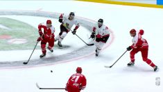 Polska – Austria. Hokej (fot. TVP)