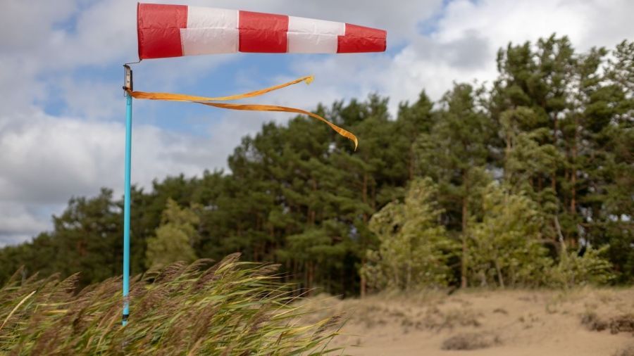 Uwaga, będzie mocno wiało. Ostrzeżenie dla 15 powiatów (zdjęcie ilustracyjne, fot. Shutterstock)