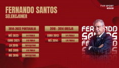 Fernando Santos (fot. TVP SPORT)