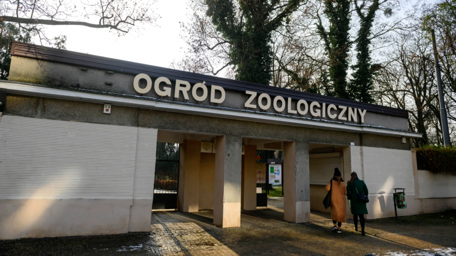 Ogród Zoologiczny w Poznaniu, zoo Poznań, list pracowników zoo (fot. PAP/Jakub Kaczmarczyk)