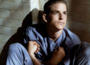 kino-mistrzow-ptasiek