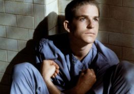 kino-mistrzow-ptasiek