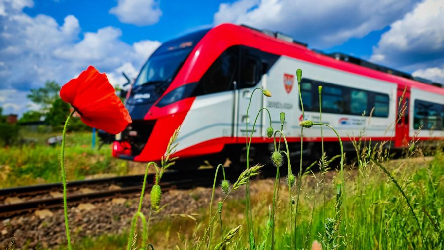 Koleje Wielkopolskie, V edycja konkursu „Pociąg do Sztuki”, konkurs fotograficzny (fot. Kuba Cichocki/Koleje Wielkopolskie)