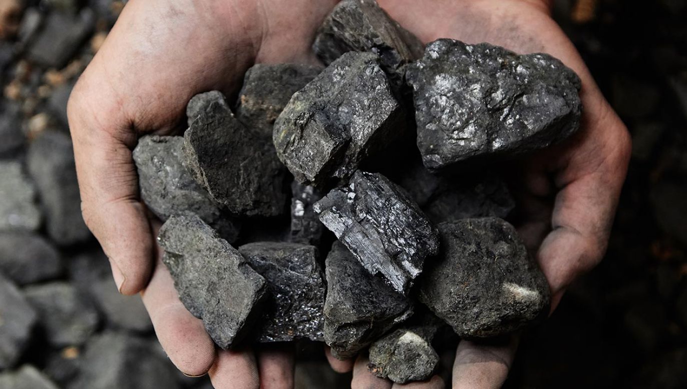 Газ горючее полезное ископаемое. Каменный уголь. Полезные ископаемые. Полезные ископаемые уголь. Полезные ископаемые каменный уголь.