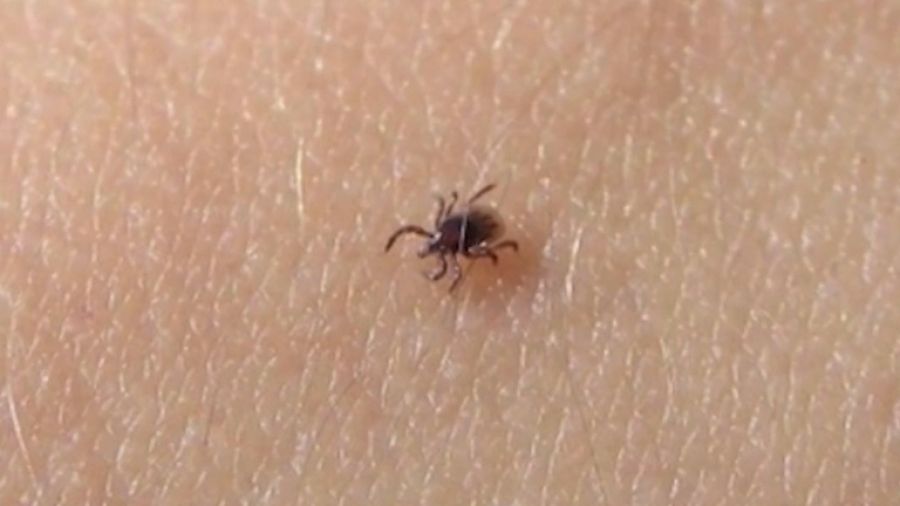 Medycyna i Ty