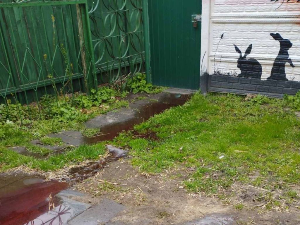 Як сцвярджаюць зоаабаронцы, гэта лужына крыві ад свінні, зарэзанай проста ў берасцейскім парку. Публікуюць таксама фота і відэа таго, як рэжуць свінню. Паводле «Салідарнасці», працаўнікі парку называюць гэта мантажом. Фота: карыстальнікі сацсетак