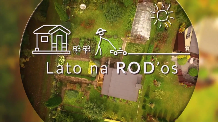 Lato na ROD'os