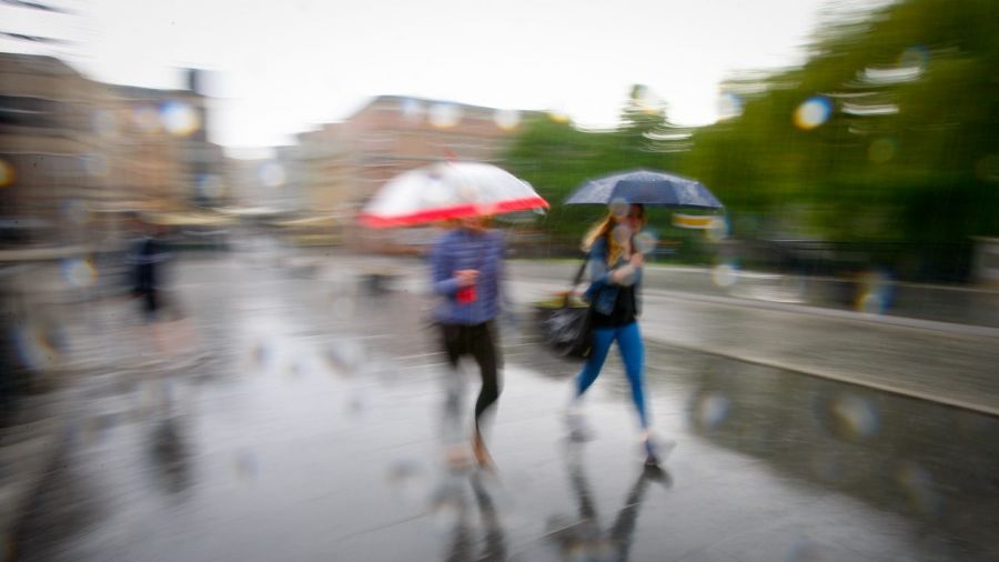 Gdzie są burze? Radar burzowy na żywo (fot. Franciszek Mazur / Forum)