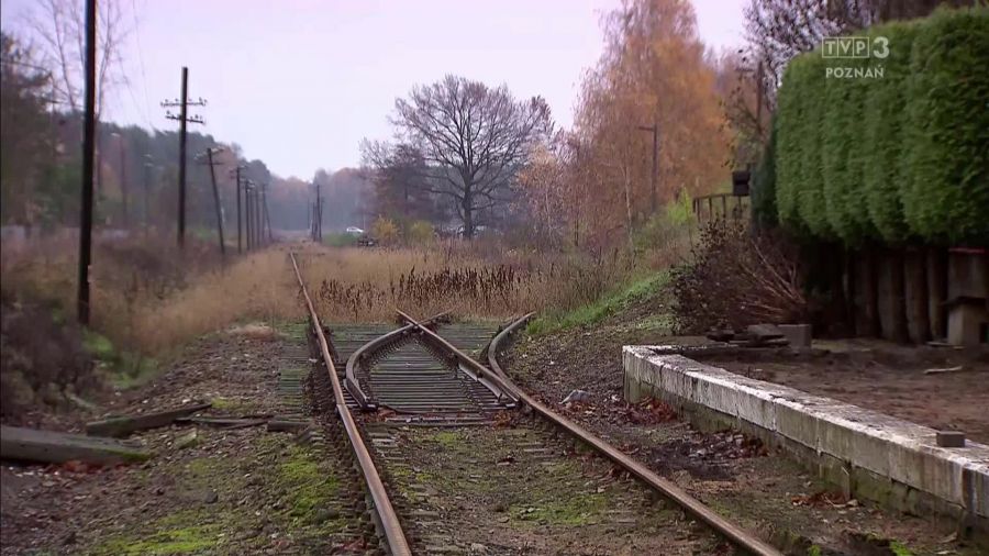 Pociąg do Wielkopolski