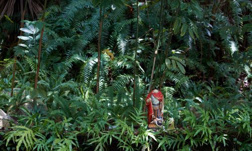 Większość mieszkańców Reunionu to katolicy, na wyspie szczególnym zabobonnym kultem cieszy się patron pilnych spraw św. Ekspedyt, który na wizerunkach jest często przedstawiany bez głowy. Na Reunionie Ekspedytowi poświęcone są liczne przydrożne ołtarze malowane na czerwono, w których jego wyznawcy składają kwiaty, wota dziękczynne i palą świece. Fot. Alain Pitton/NurPhoto via Getty Images