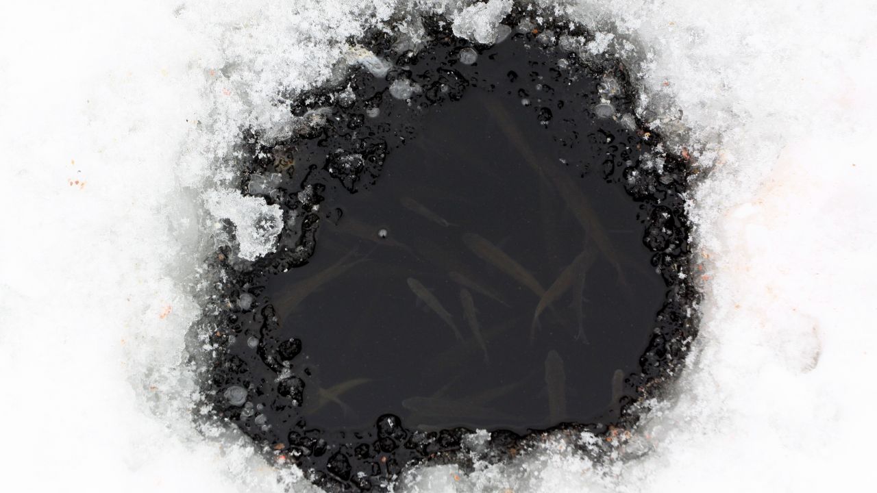 Lód pękł pod kobietą. Akcja ratunkowa na zamarzniętym stawie