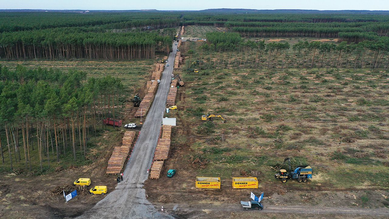 Pod fabrykę Tesli Niemcy wytną co najmniej 90 hektarów lasów (fot. Shutterstoc/Sean Gallup/Getty Image)