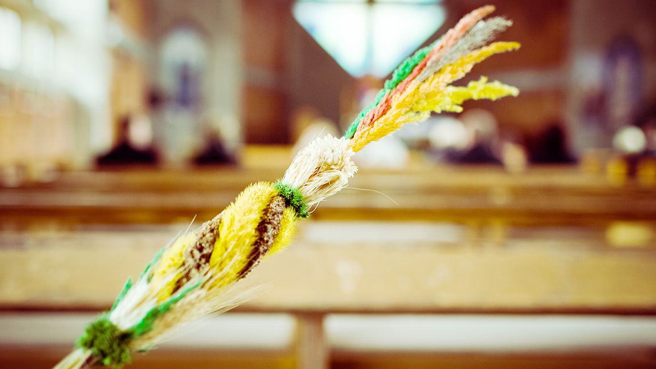 Materiały można przesyłać na twoje@tvp.info (fot. Shutterstock) Materiały można przesyłać na twoje@tvp.info (fot. Shutterstock)