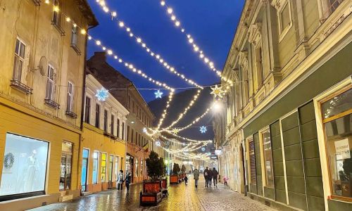 (fot. Agnieszka Wasztyl/portal TVP Info)