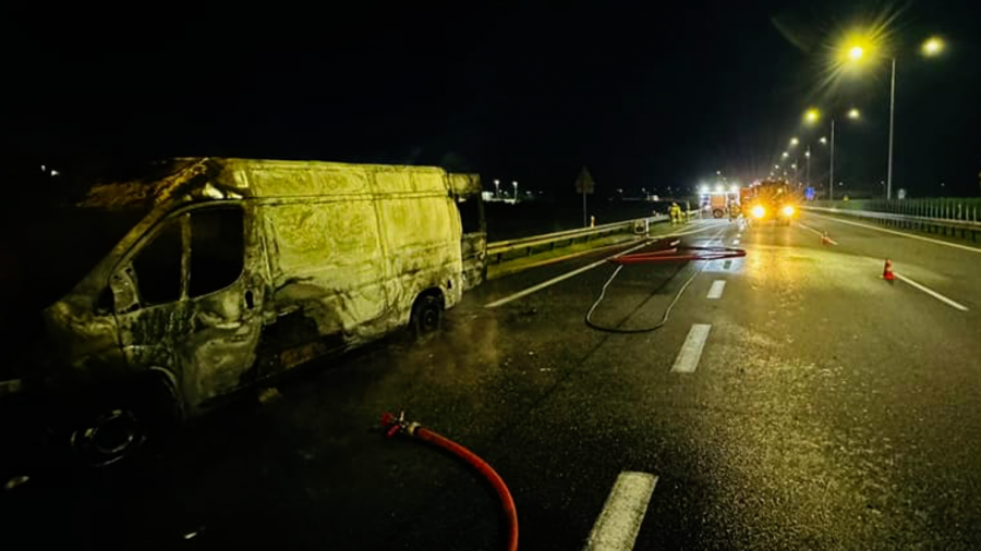 poznan.tvp.pl