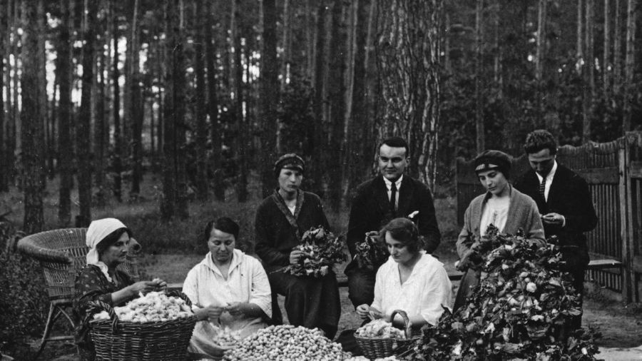 Niezwykłe dzieje polskiego jedwabiu wyznaczają dwie postacie: Henryk Witaczek (1901-1978, na zdjęciu w środku) i jego siostra Stanisława Witaczek-Jastrzębska (1896-1965, siedzi u kolan brata). On miał dwadzieścia dwa lata, jego siostra pięć lat więcej, kiedy wystartowali z wizjonerskim planem rozwoju polskiego jedwabnictwa w wolnej Polsce. Wolna Polska! To ich inspirowało, budowało, napędzało! Fot. ze zbiorów Archiwum Państwowego w Warszawie, Oddział w Grodzisku Mazowieckim