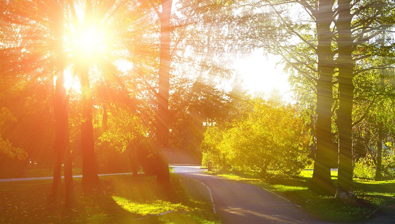 Majówka zapowiada się słonecznie (fot. Shutterstock)