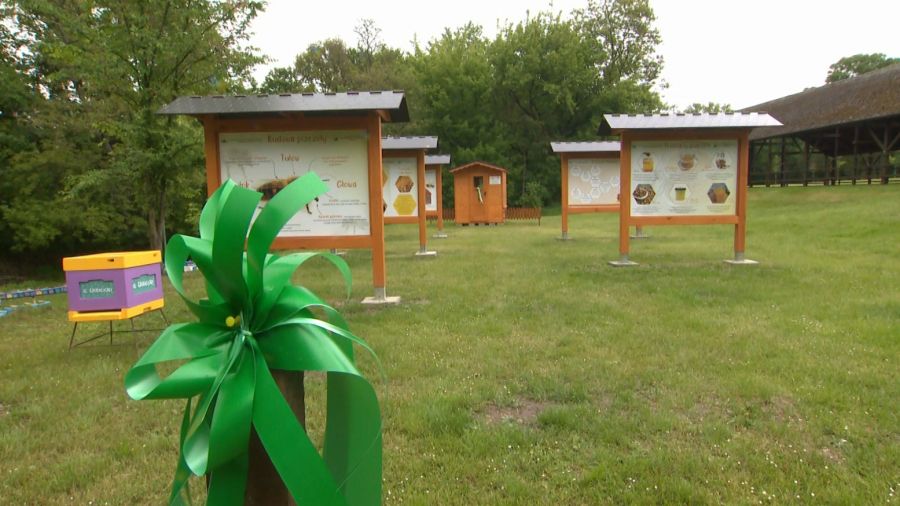 W Zarzeczewie otwarto właśnie ścieżkę edukacyjną, której głównym punktem jest domek do uloterapii