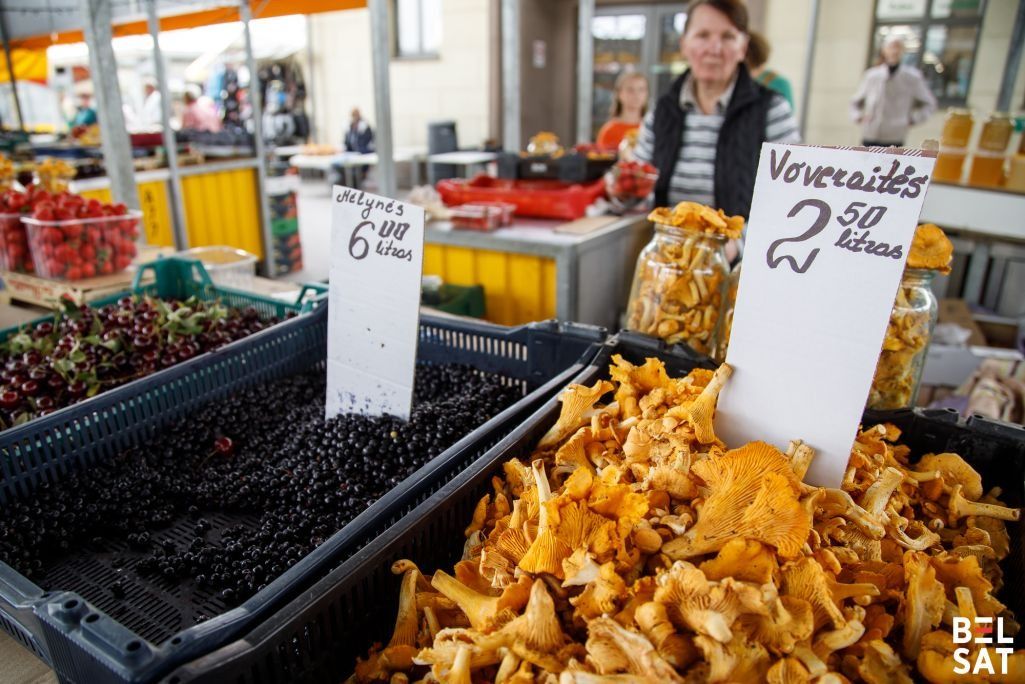 Лисички на Кальварийском рынке в Вильнюсе, Литва. 20 августа 2025 года. Фото: Белсат