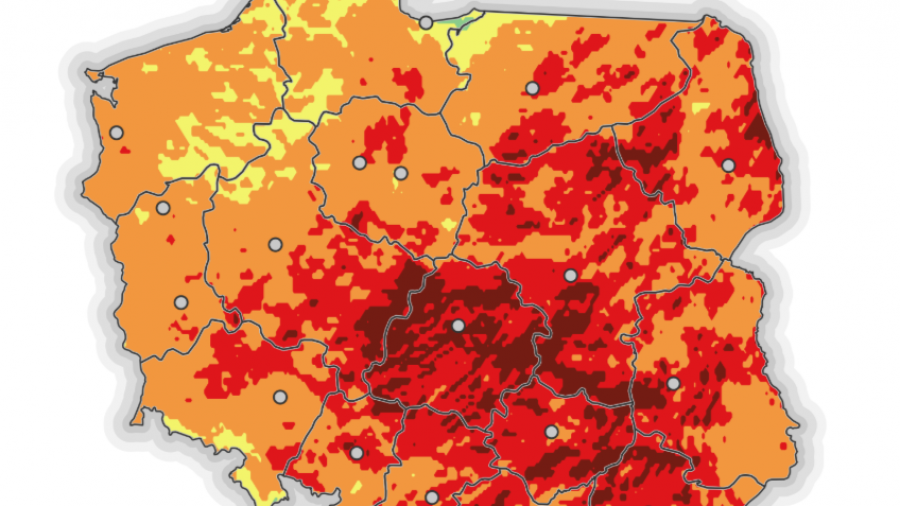 Wielkopolska: zagrożenie pożarowe w lasach, upały, burze (fot. IMGW)