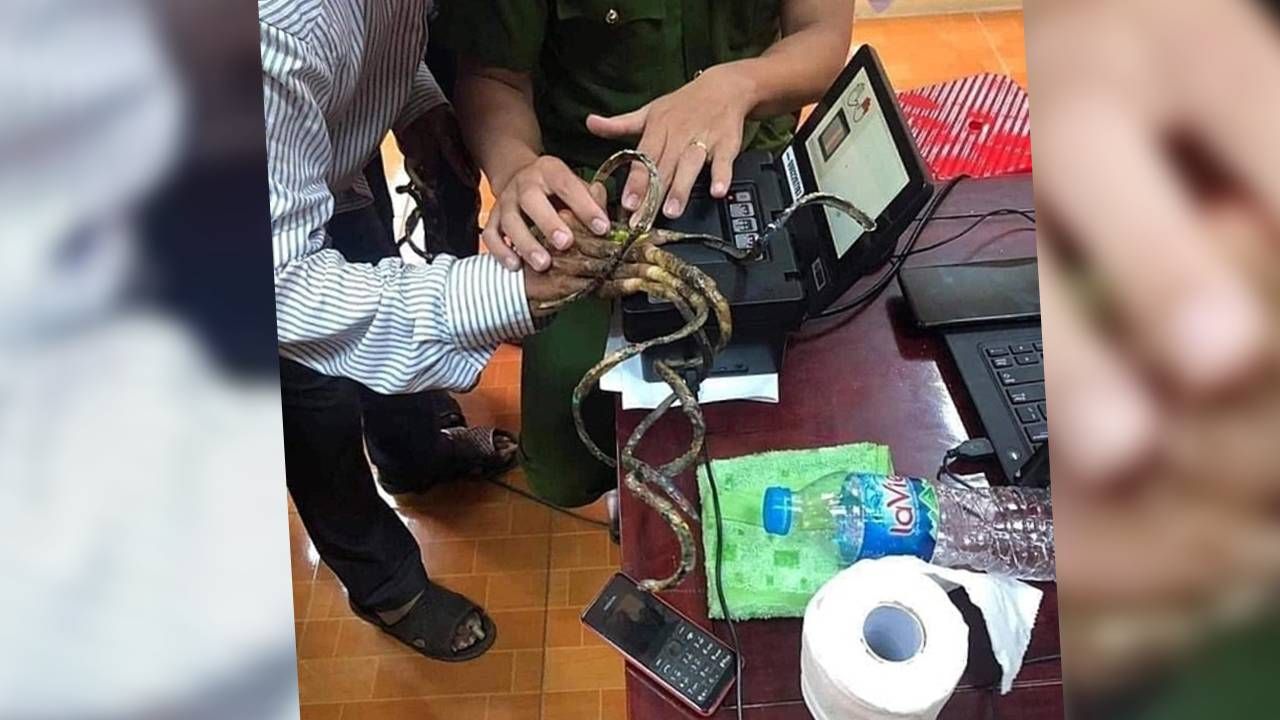 Luu Cong Huyen jest dumny ze swoich paznokci (fot. Giao Thuy District police) Luu Cong Huyen jest dumny ze swoich paznokci (fot. Giao Thuy District police)
